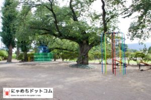 沼田公園の遊具