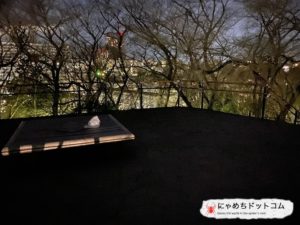 戸山公園、箱根山|心霊スポットレポ 頂上