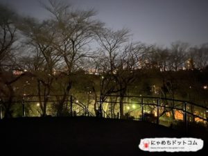 戸山公園、箱根山|心霊スポットレポ 景色