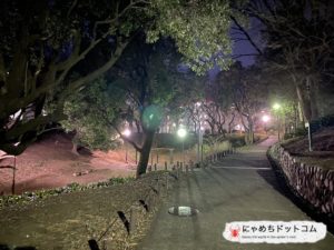 戸山公園 ブログ